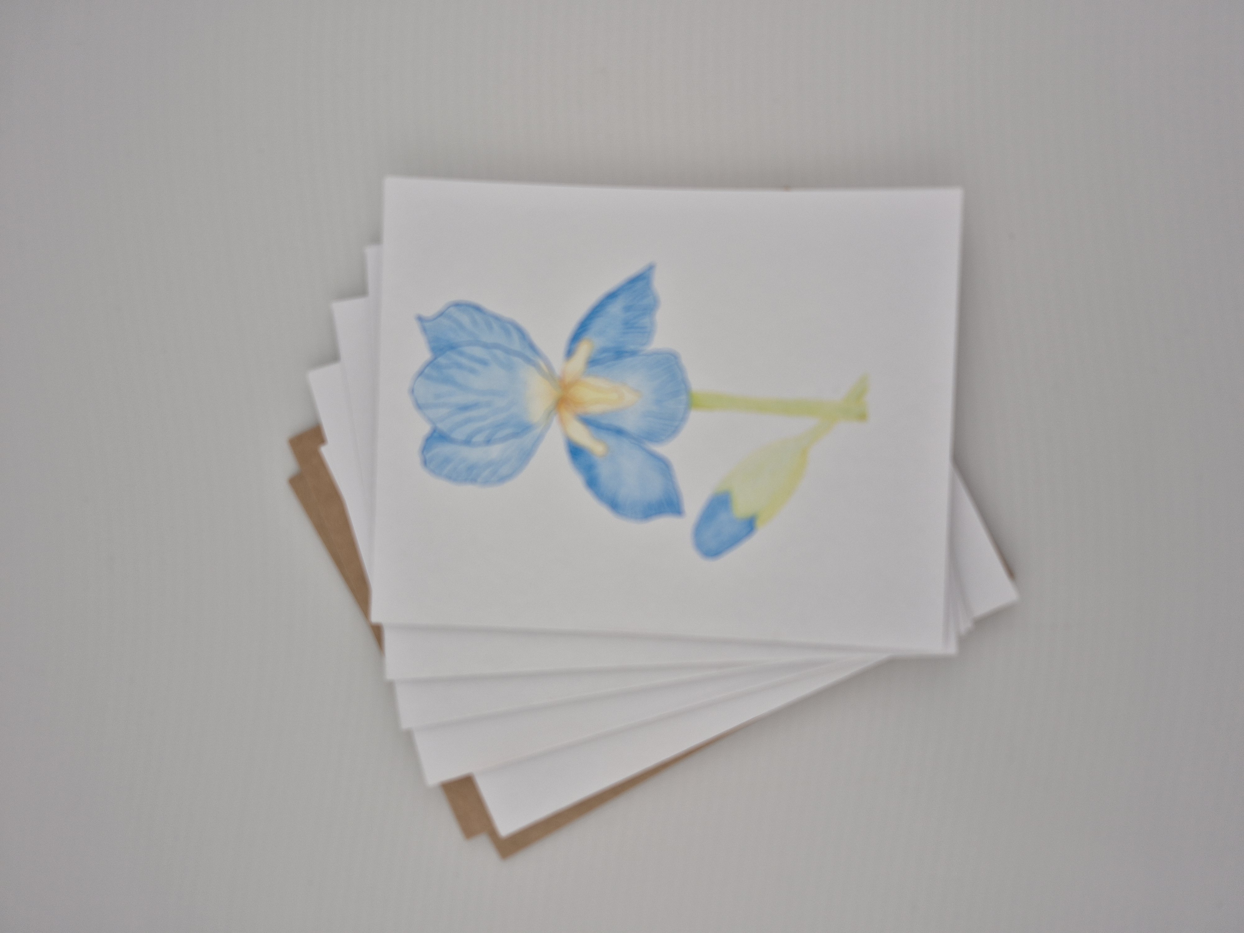 5 pack Blue Iris Greeting Cards