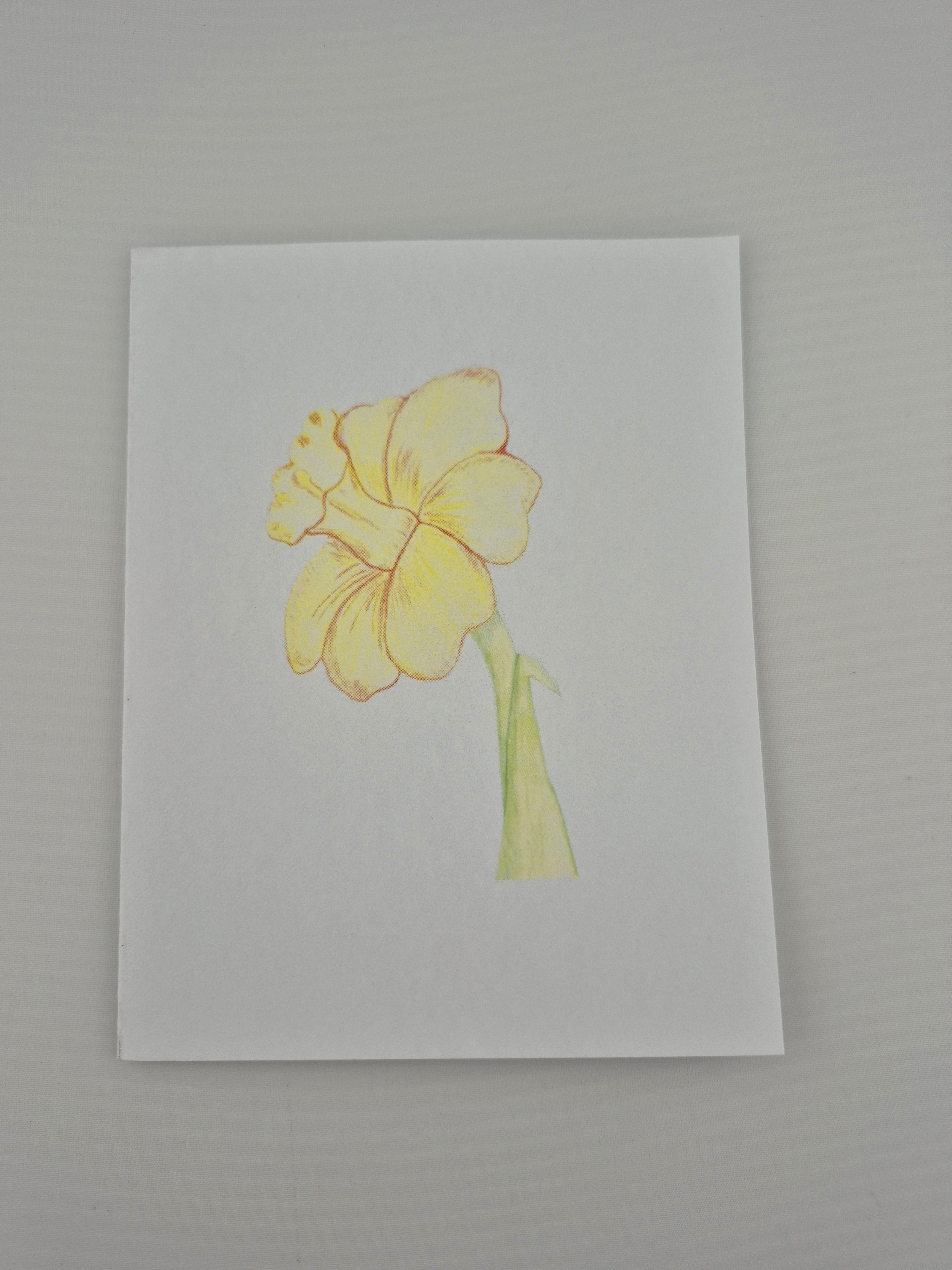 Daffodil Flower Greeting Card