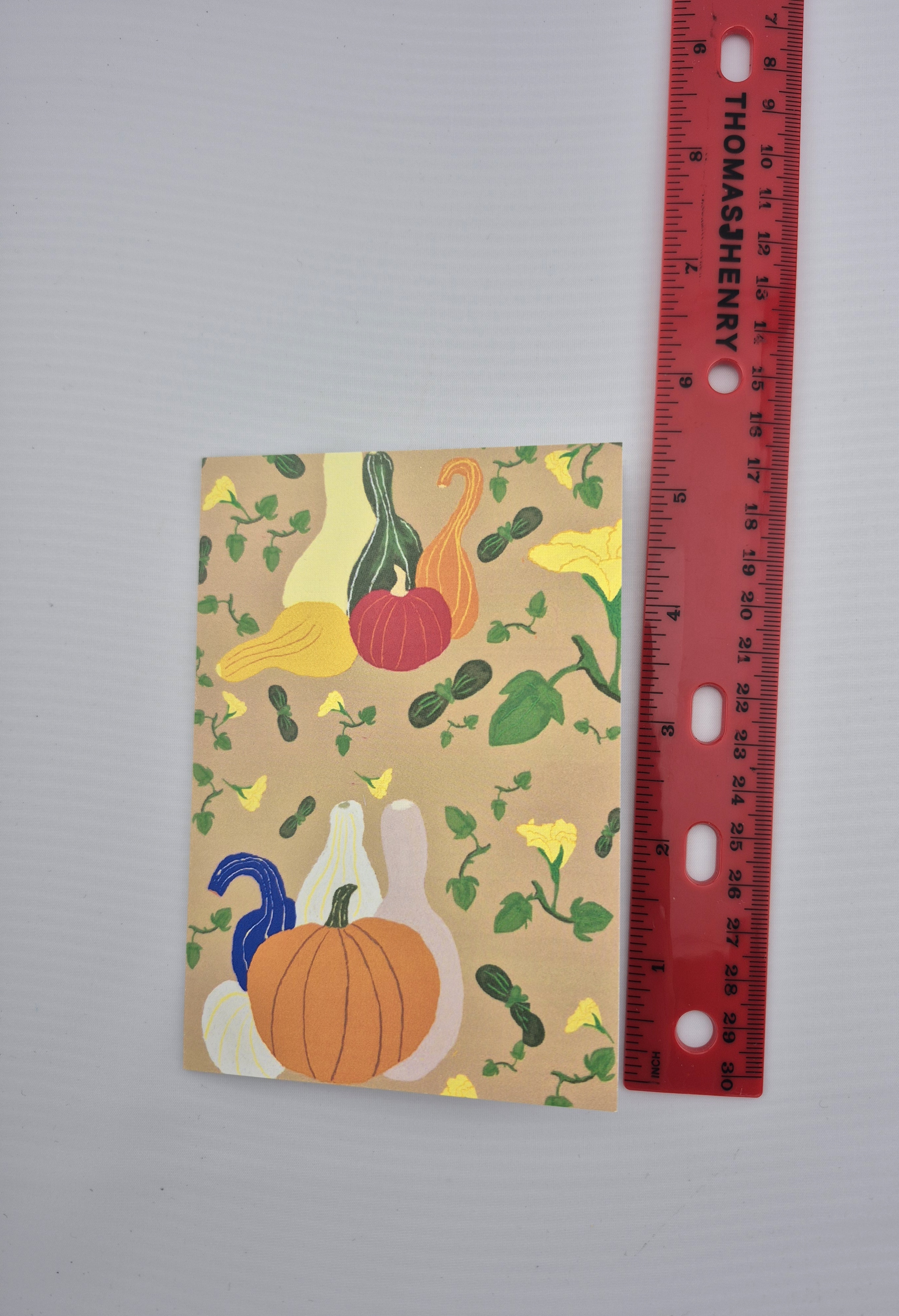 Pumpkin and Gourds Greeting Card