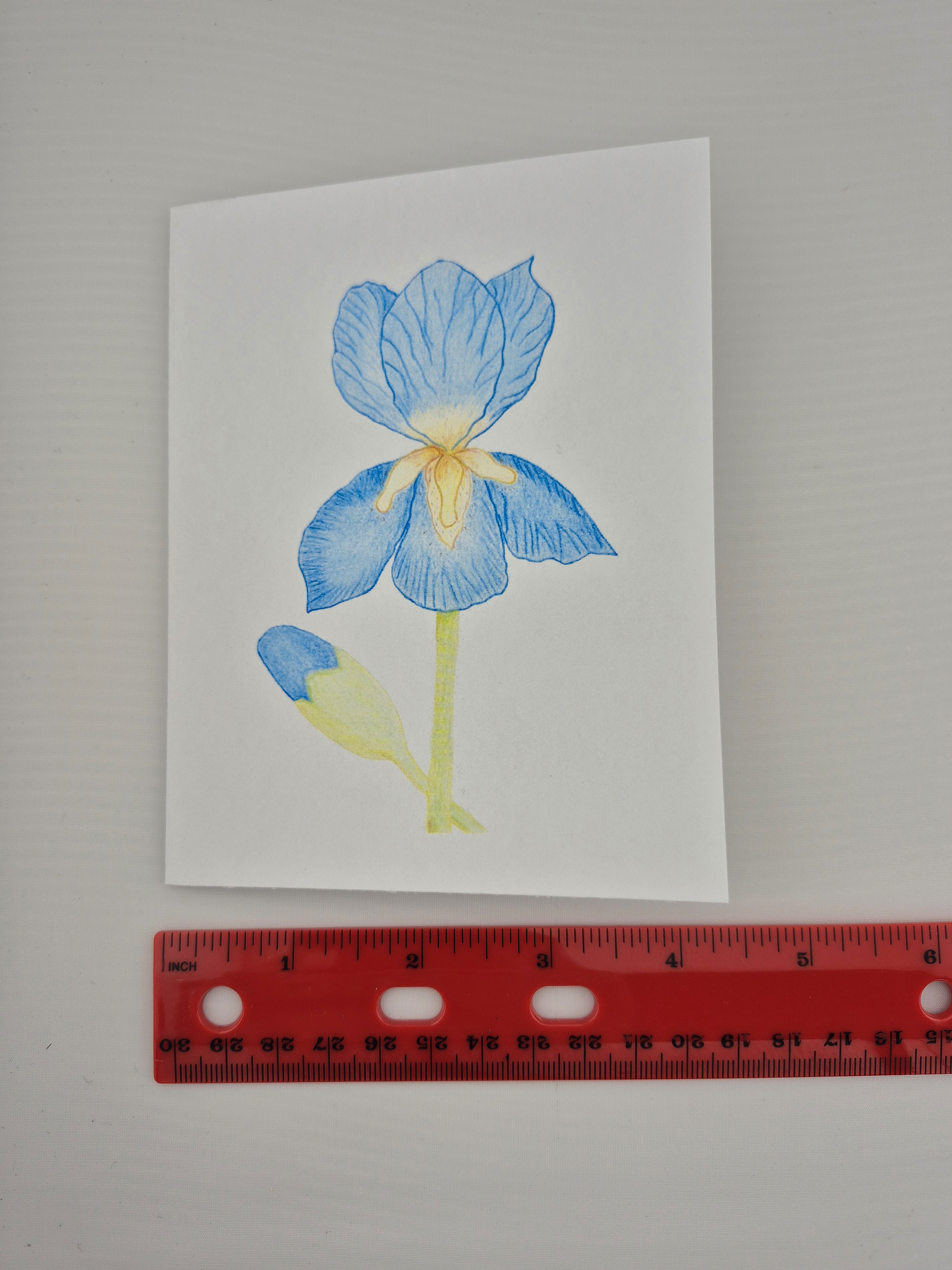 Handmade Blue Iris Greeting Card