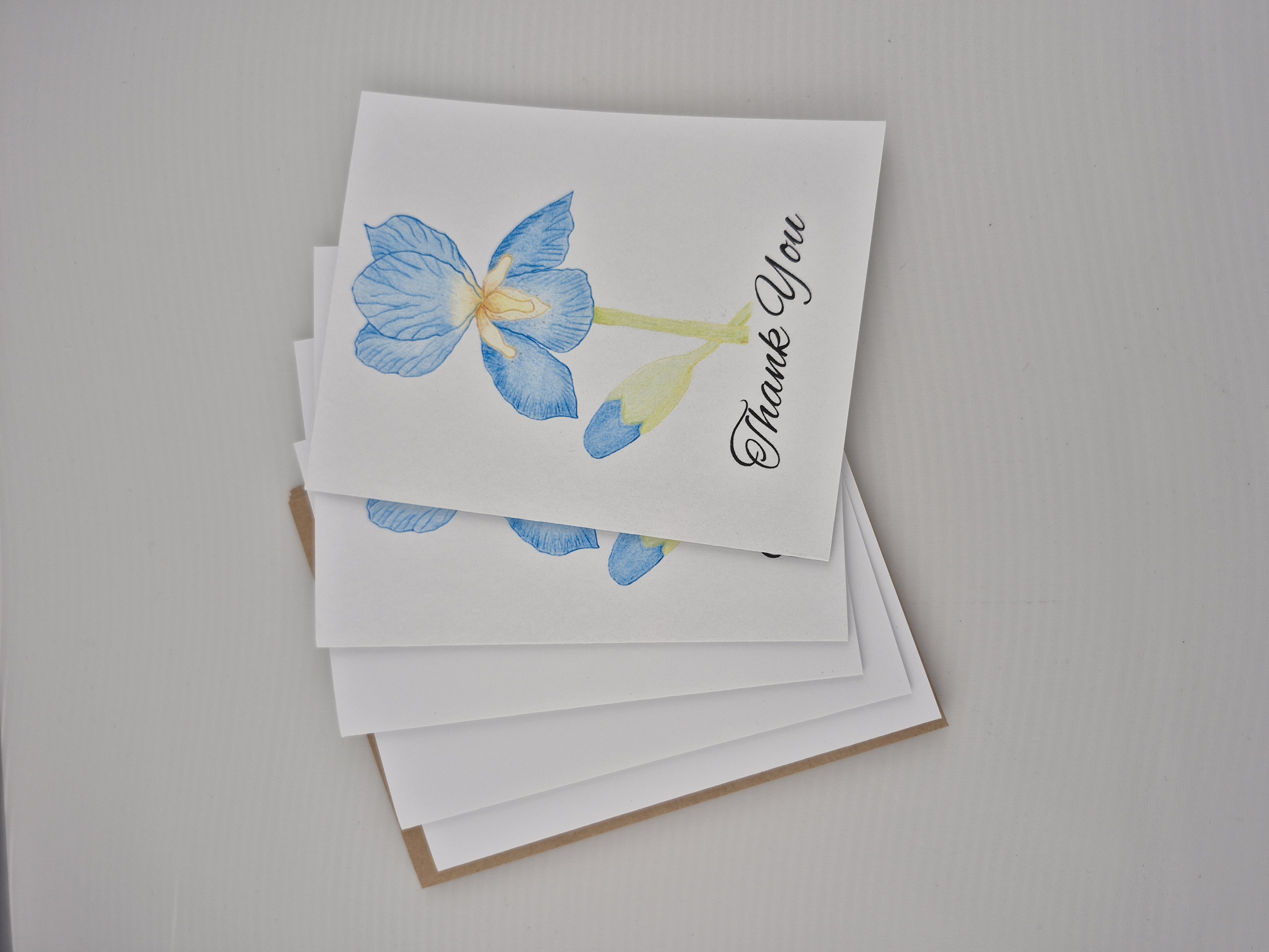 5 pack Blue Iris Thank You Cards