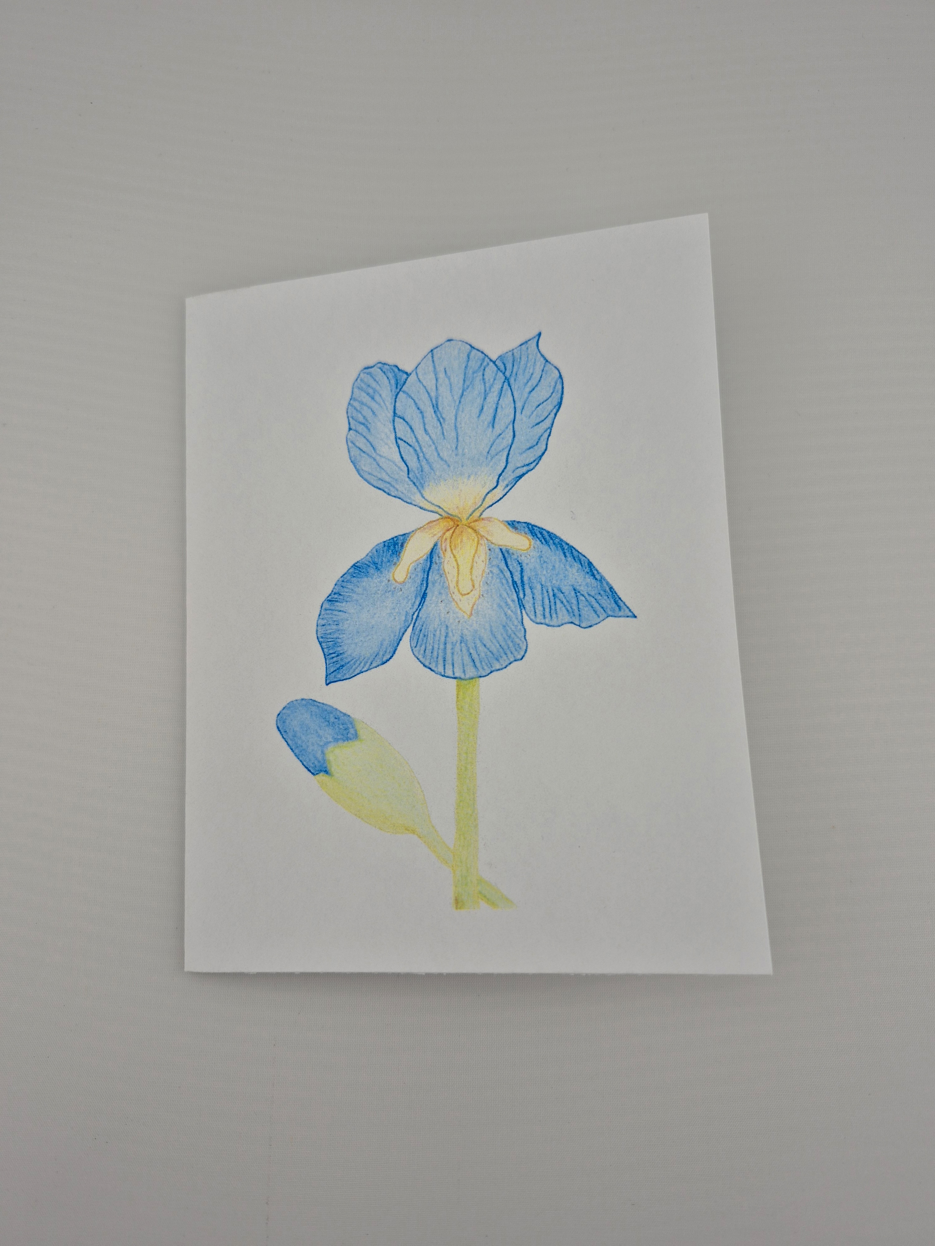 Handmade Blue Iris Greeting Card