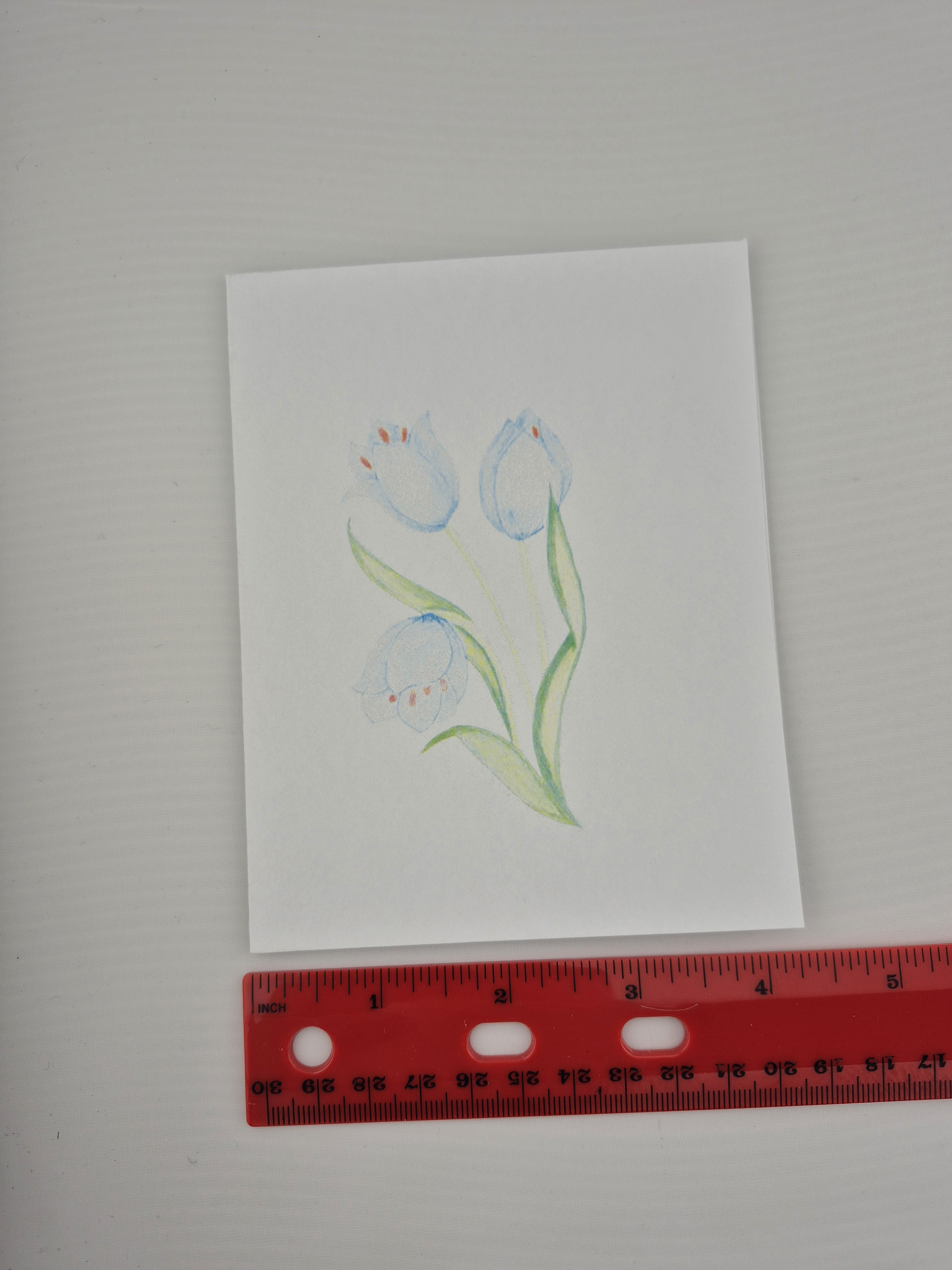 Tulips Floral Greeting Card