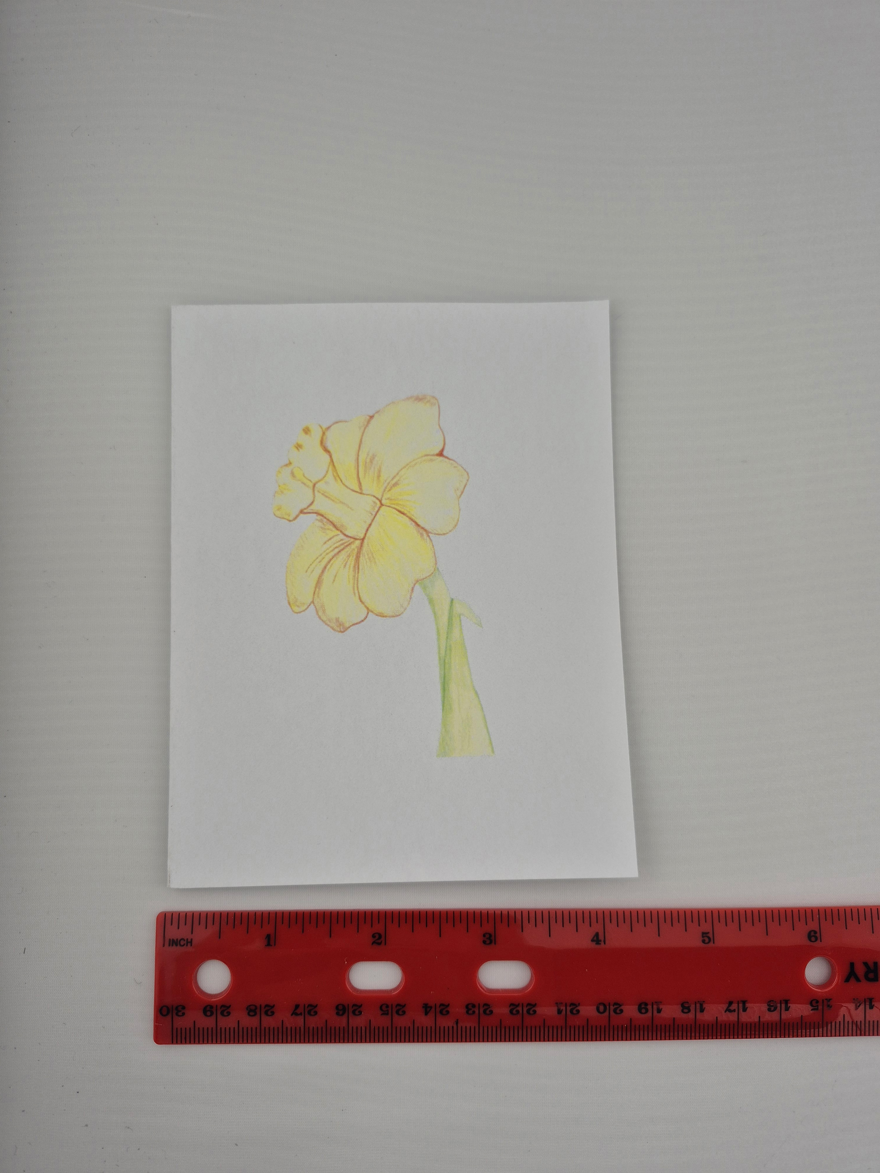 Daffodil Flower Greeting Card