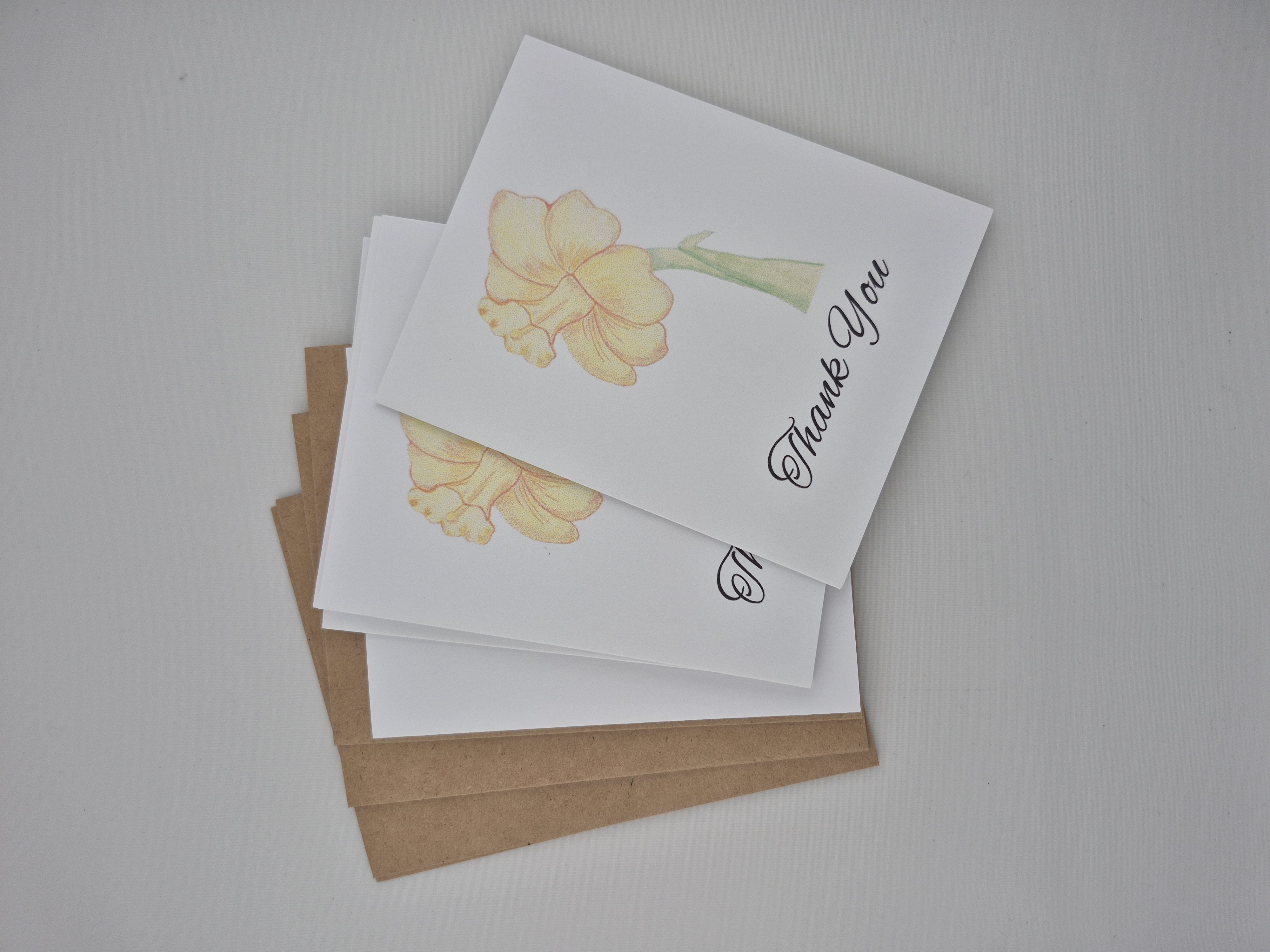 5 pack Thank You Daffodil Greeting Cards