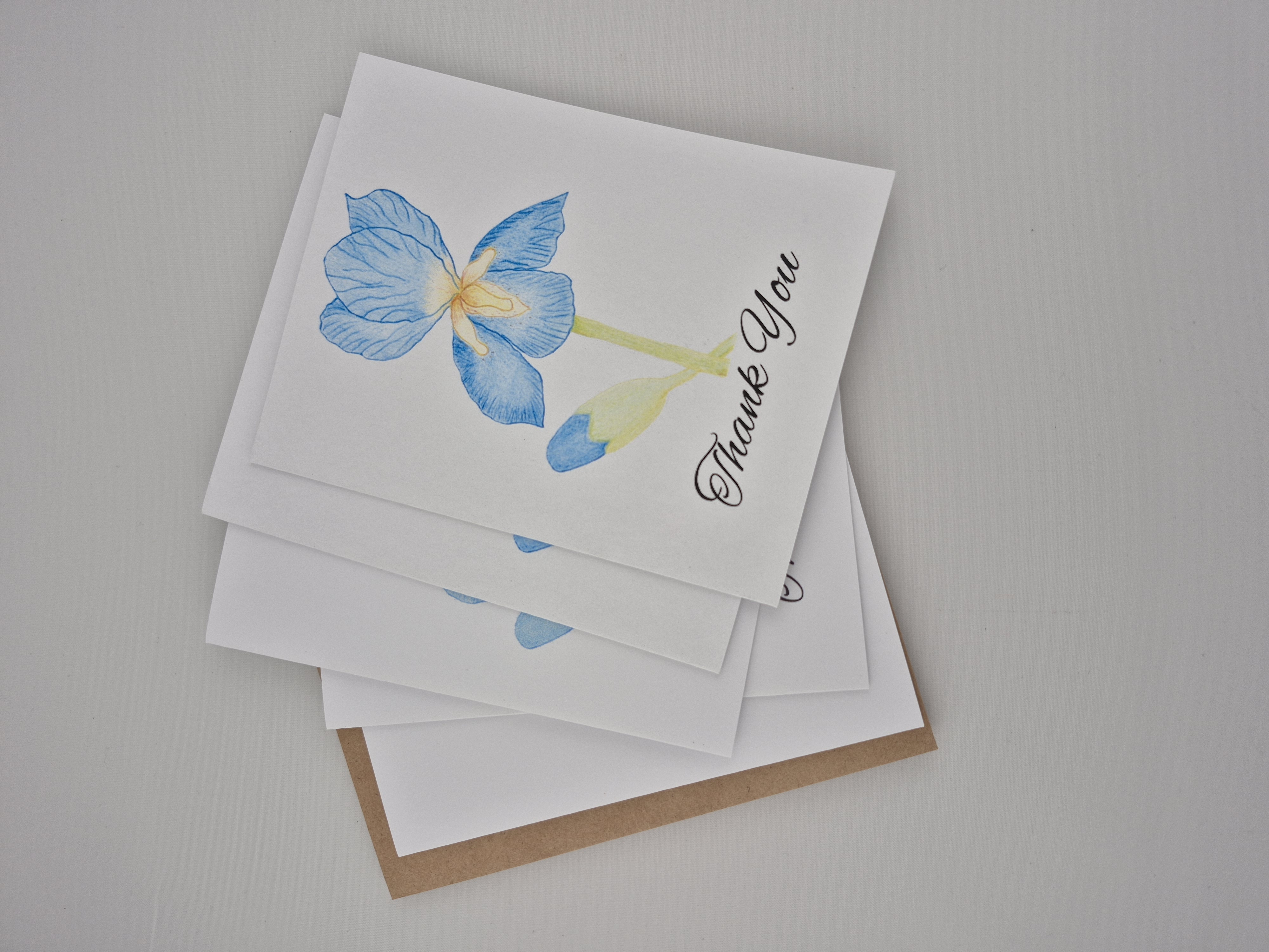 5 pack Blue Iris Thank You Cards