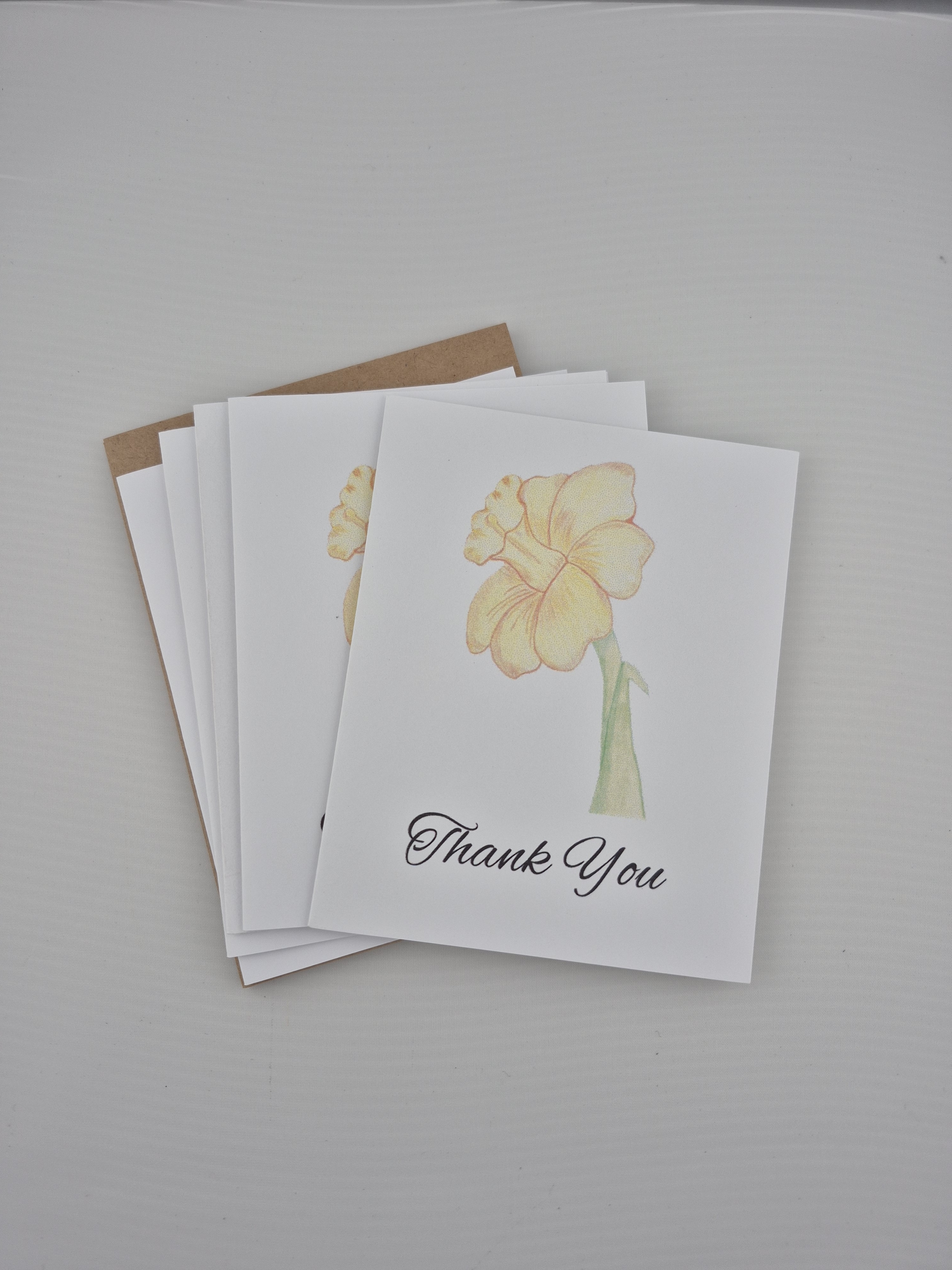 5 pack Thank You Daffodil Greeting Cards