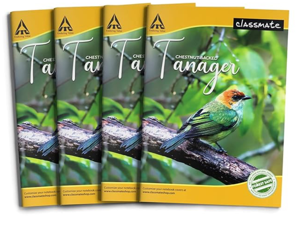 Classmate Notebook - Single Line, 72 Pages, 240 mm x 180 mm - Pack Of 4