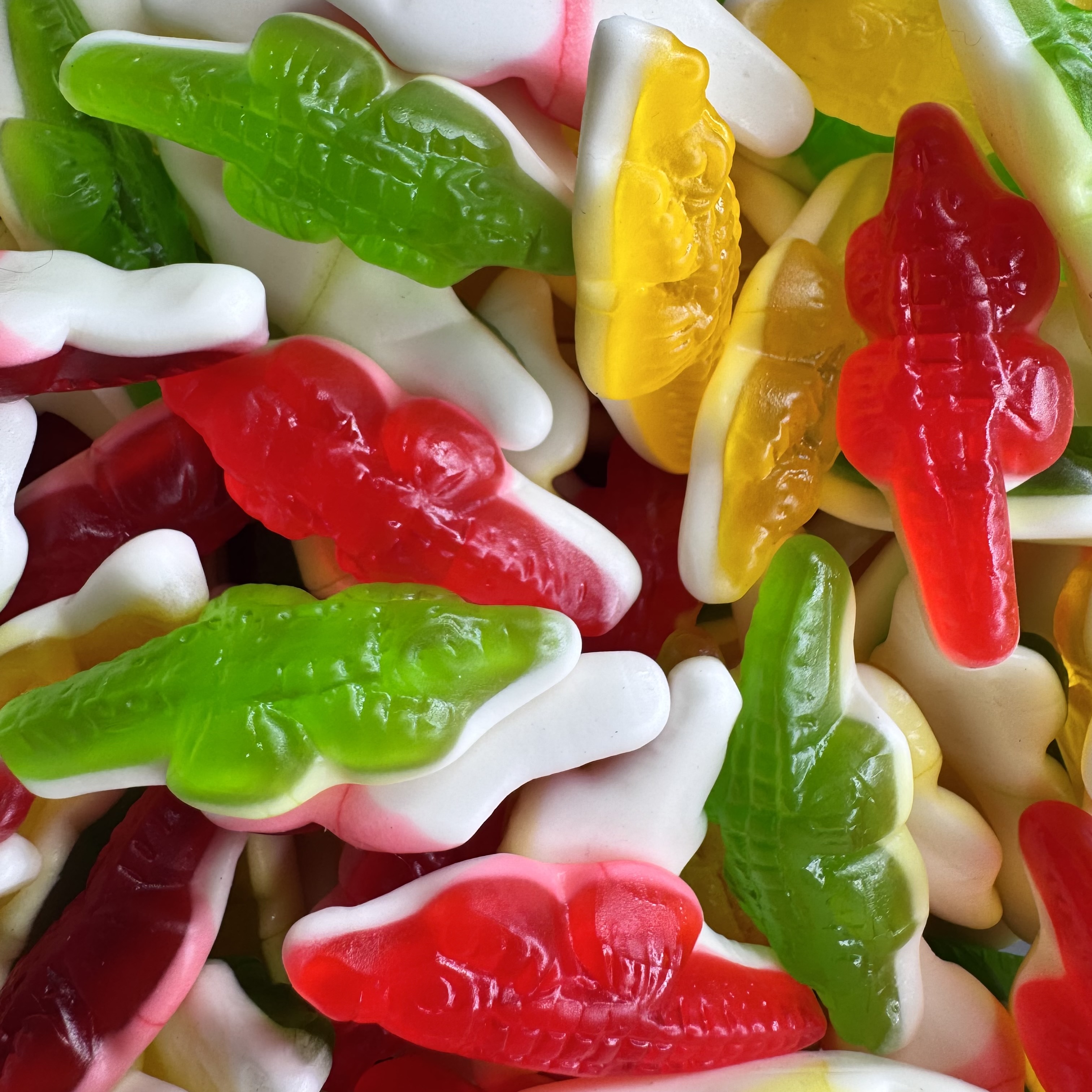 Crocodiles lisses - 100g