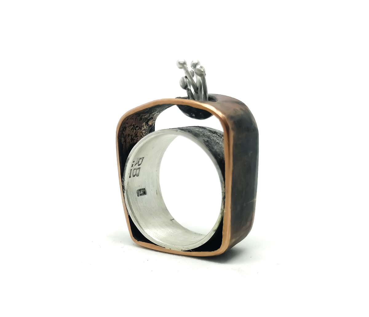 Anillo Naturaleza Urbana 1