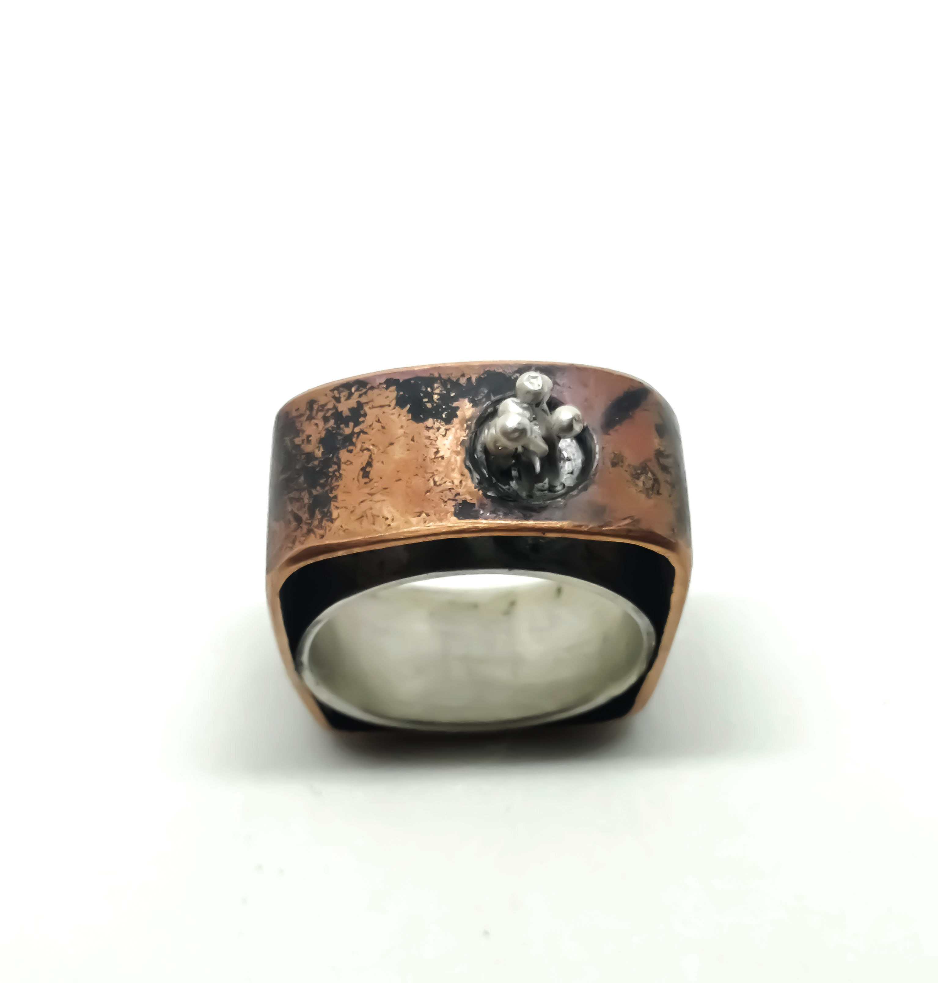 Anillo Naturaleza Urbana 1