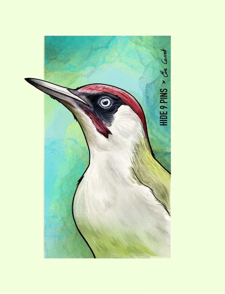 Pegatina Pito Real 11x7cm