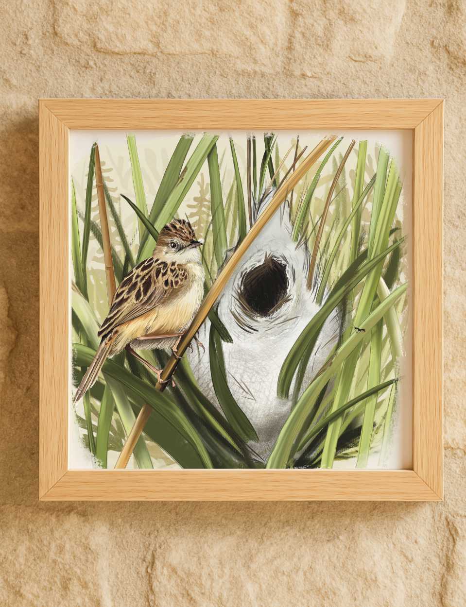 Lámina Buitrón (primavera) 