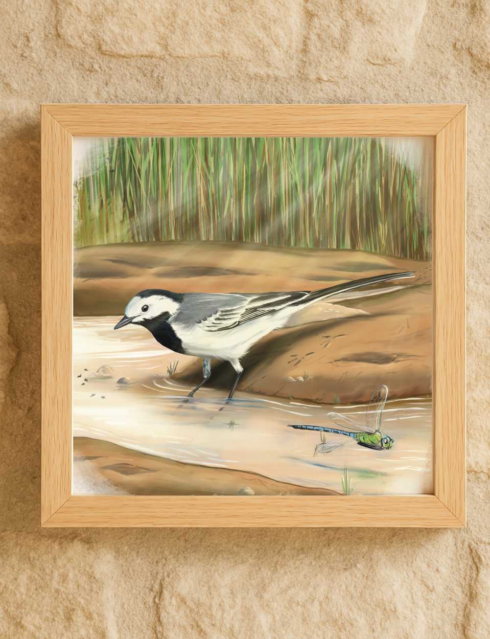 Lámina Lavandera (verano) 