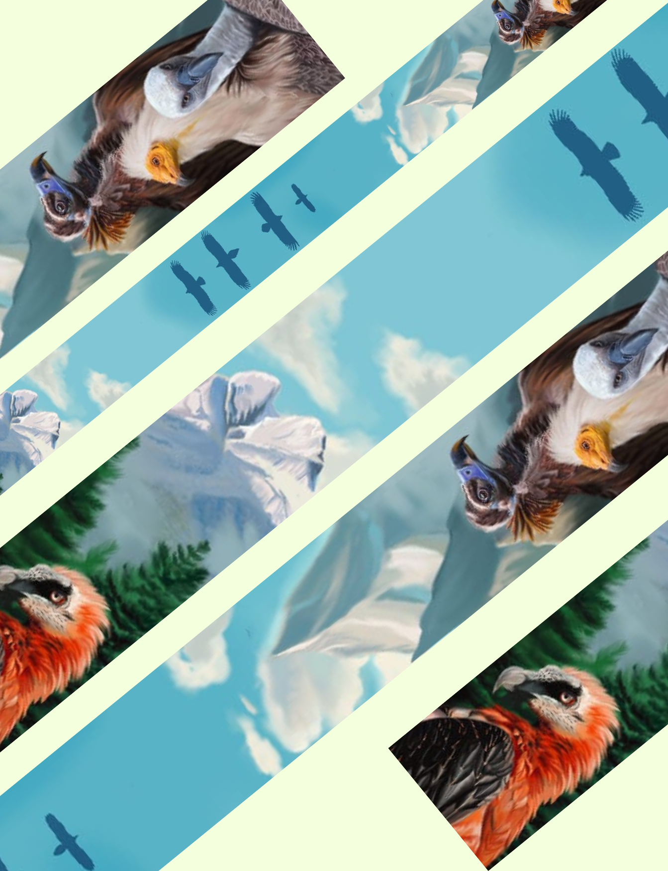 Correa para prismáticos y cámara buitres de la península ibérica 