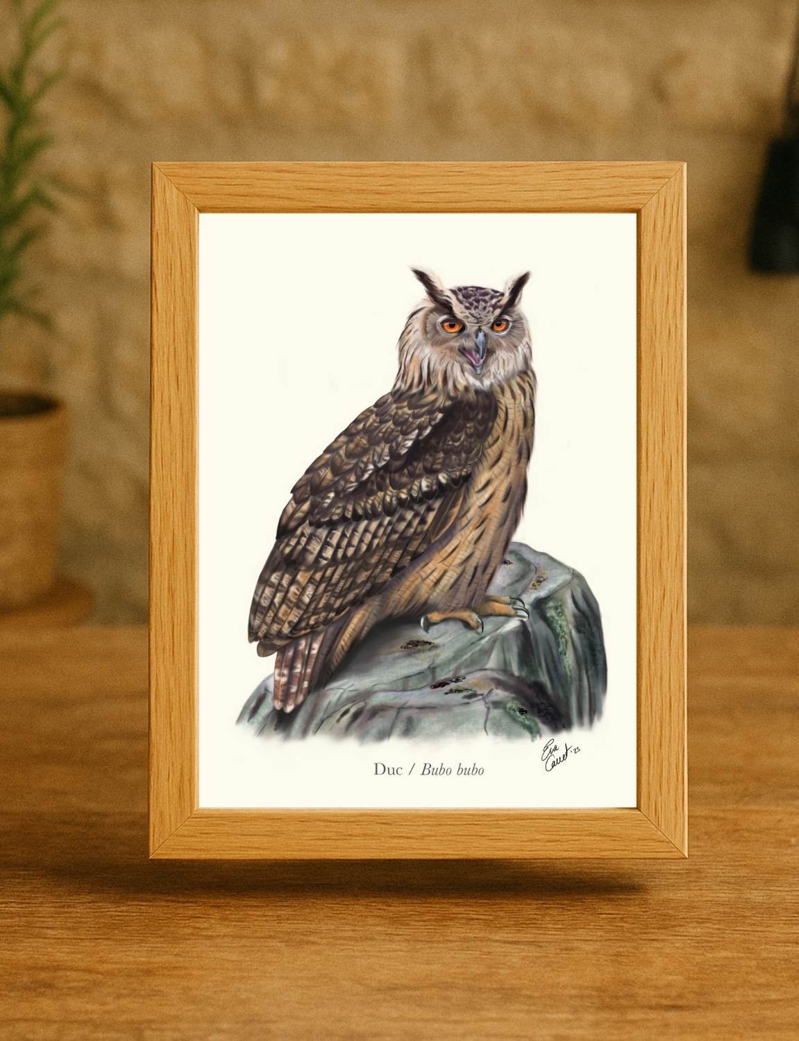 Lámina Buho real A5