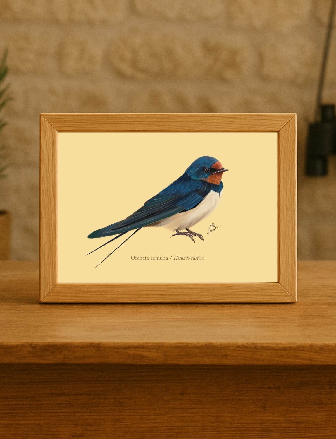 Lámina golondrina A5