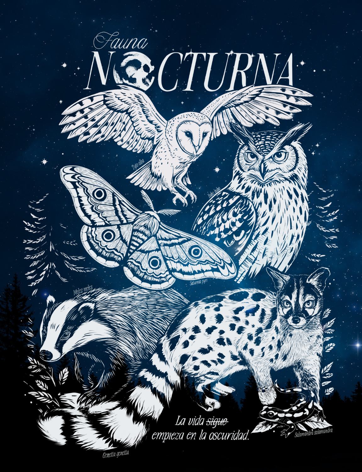 Camiseta NOCTURNA | Animales nocturnos - lechuza, buho real, tejón, gineta, salamandra, Saturnia pyri – Balena
