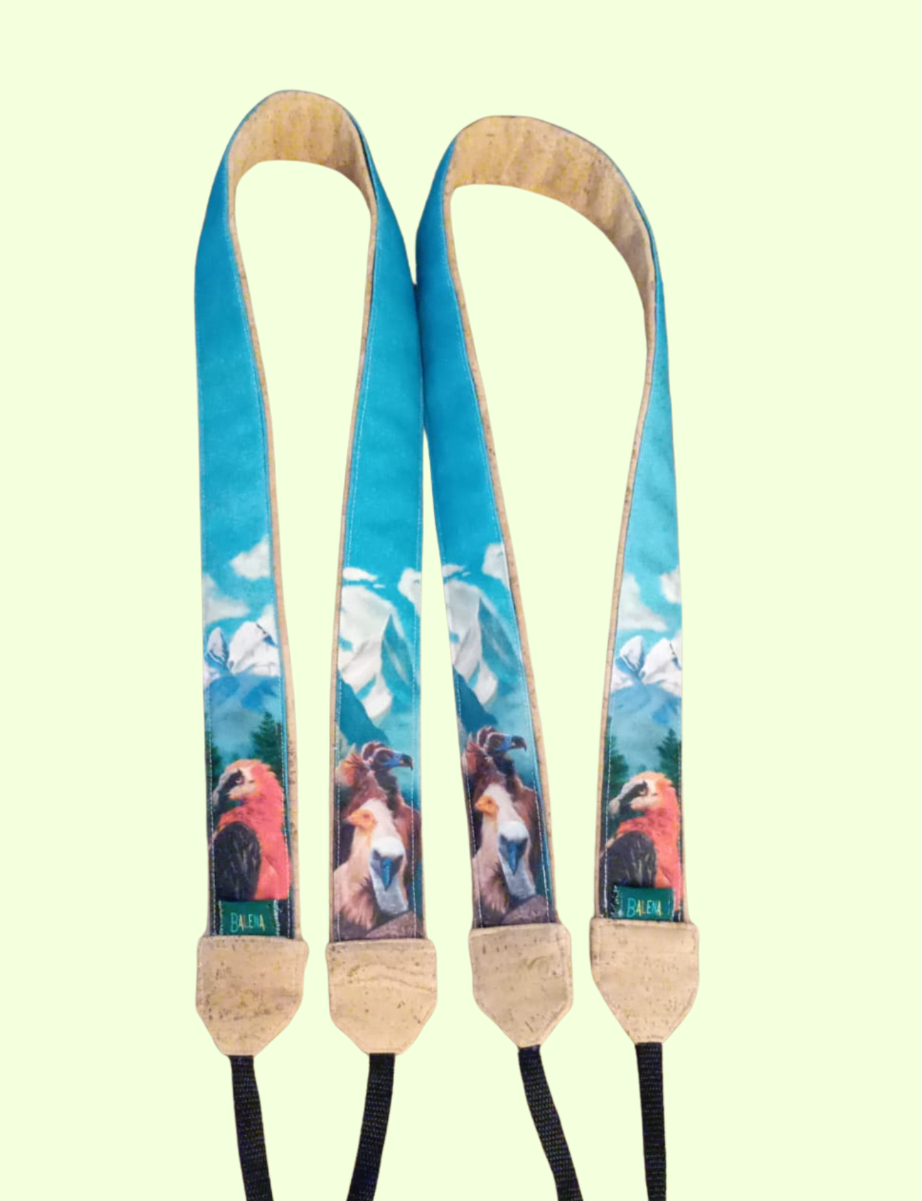 Correa para prismáticos y cámara buitres de la península ibérica