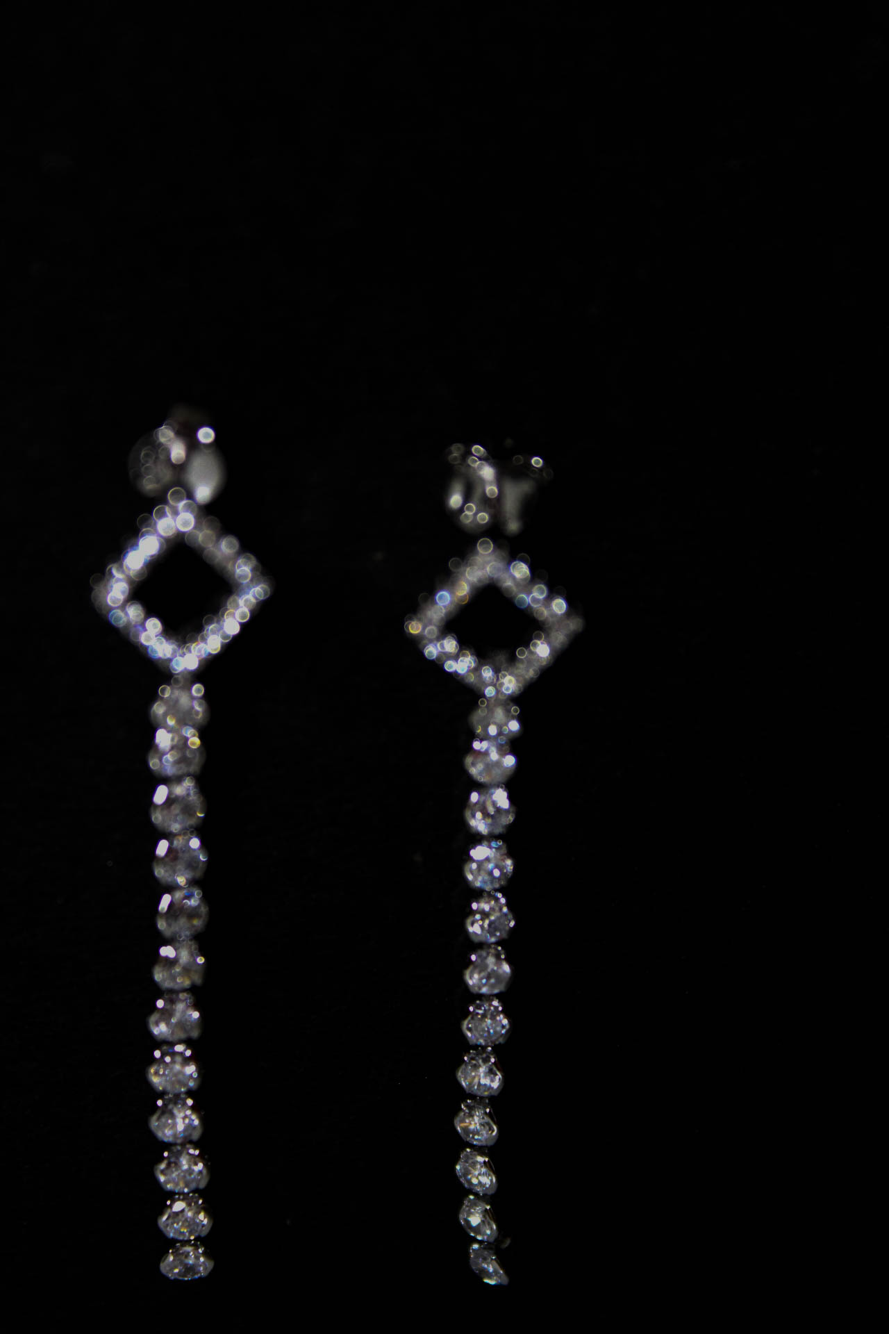 Elegant Dangle Earrings