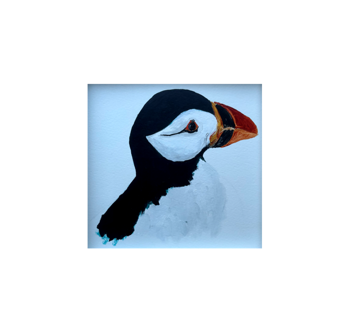 Puffin Portrait Canvas Print 8" x 8"