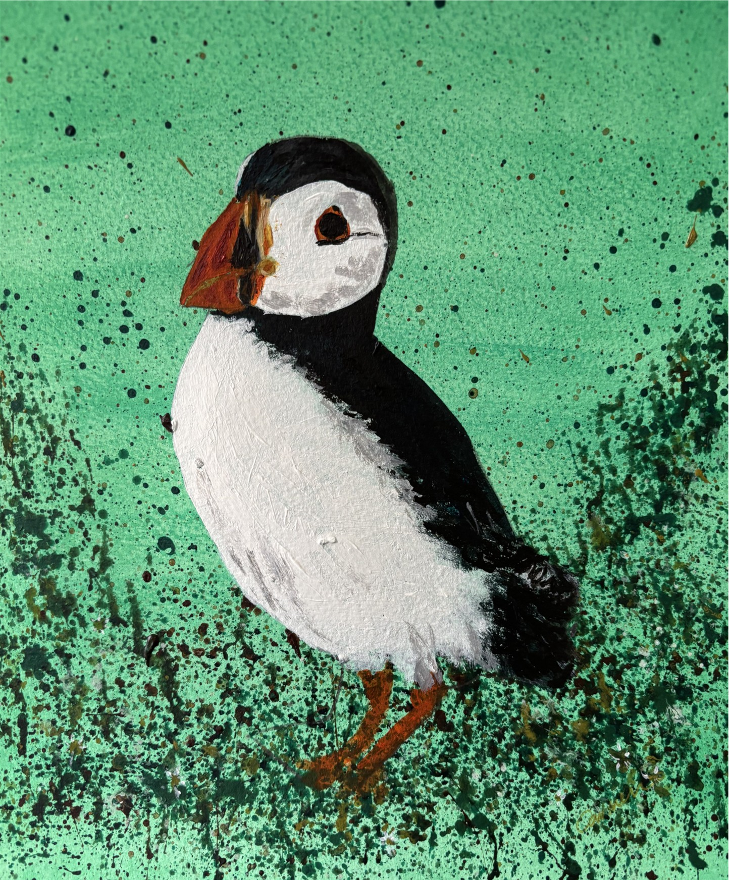 Skomer Puffin 