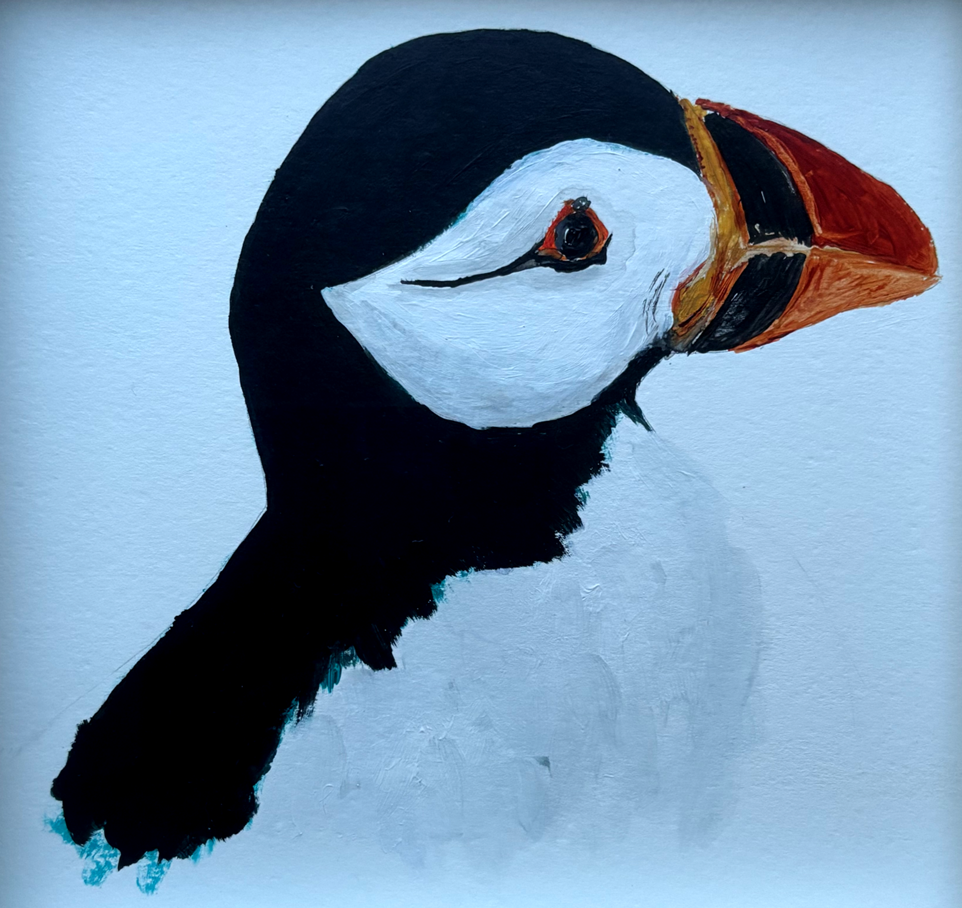 Puffin Portrait 