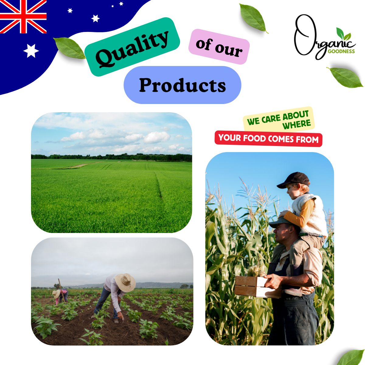 Organic Hulled Hemp Seeds