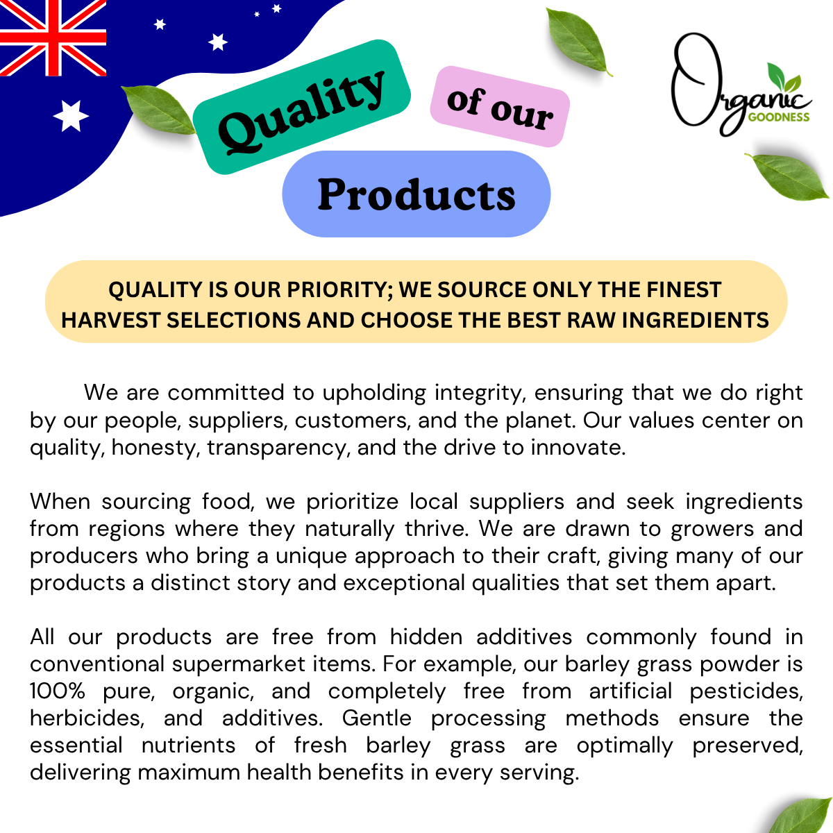 Organic Turmeric Powder