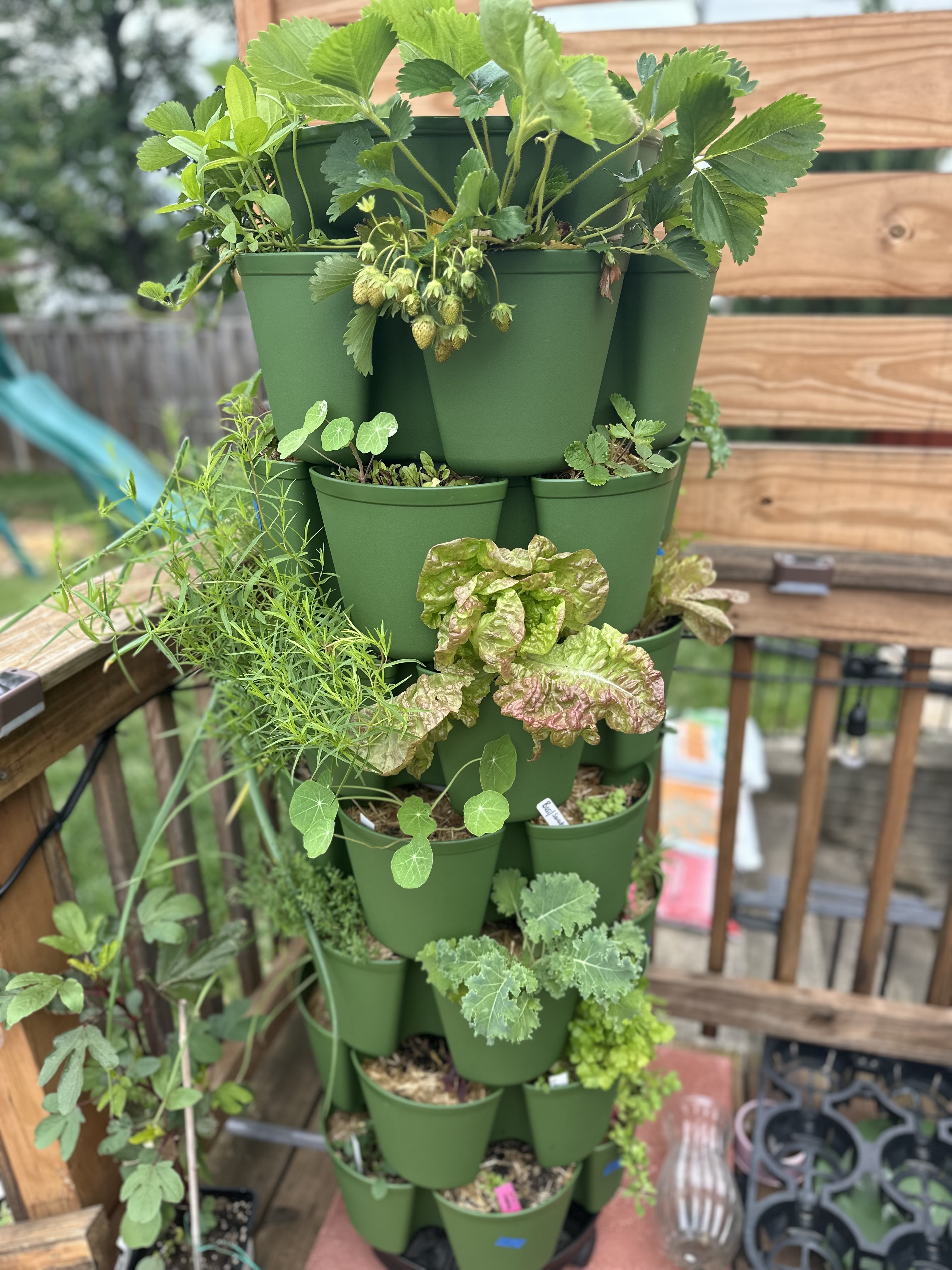 HEALING IN GARDEN & LITERACY BOOK CLUB