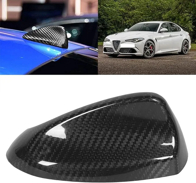 COVER PINNA ANTENNA