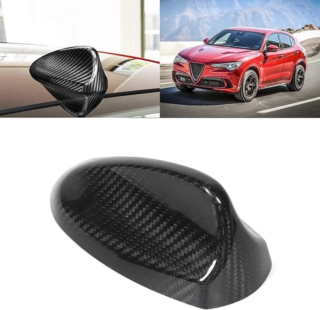 COVER PINNA ANTENNA