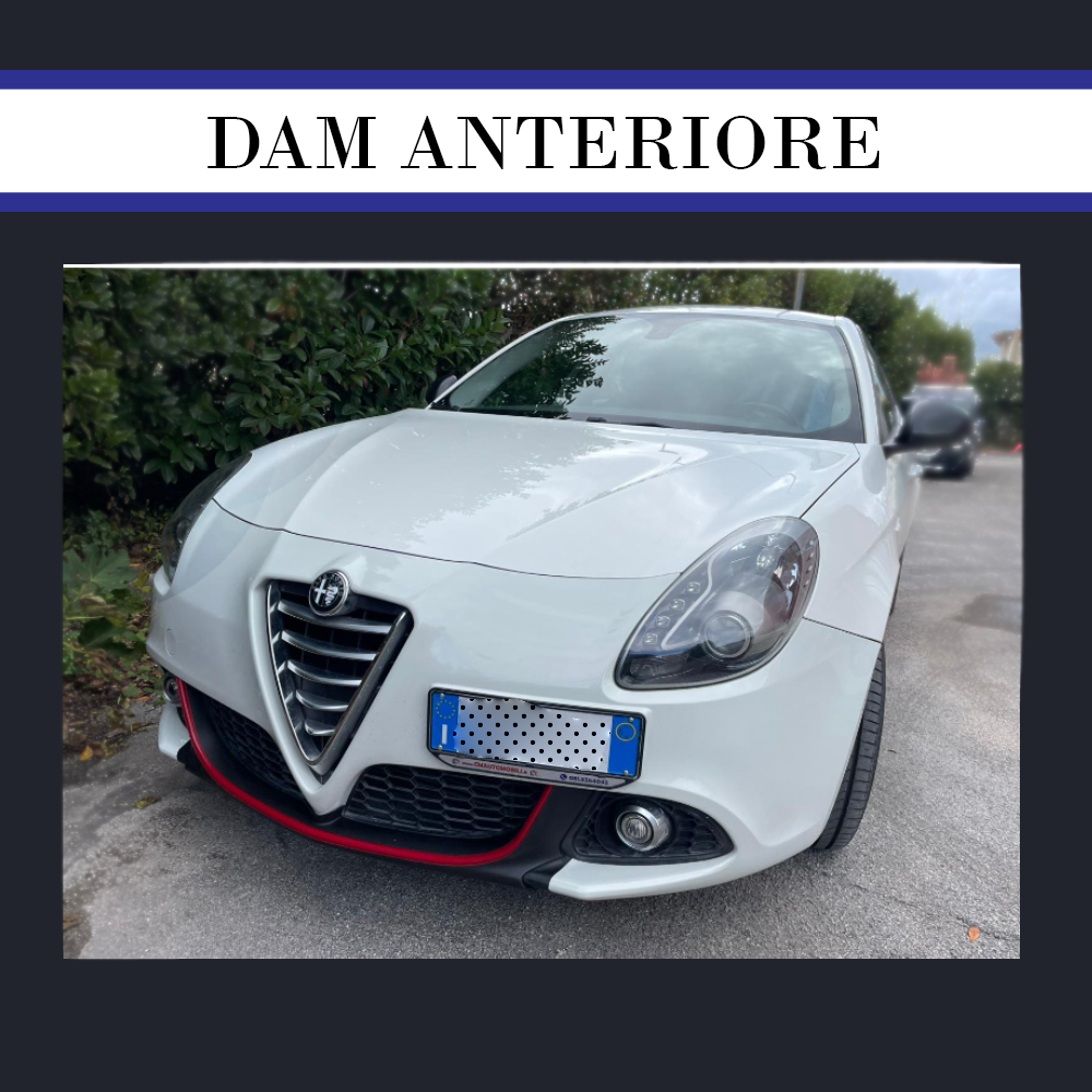 DAM BAFFO ANTERIORE GIULIETTA