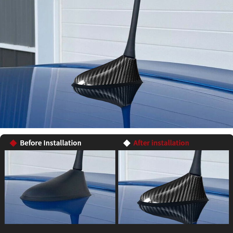 Carbon Fiber cover antenna 04-11