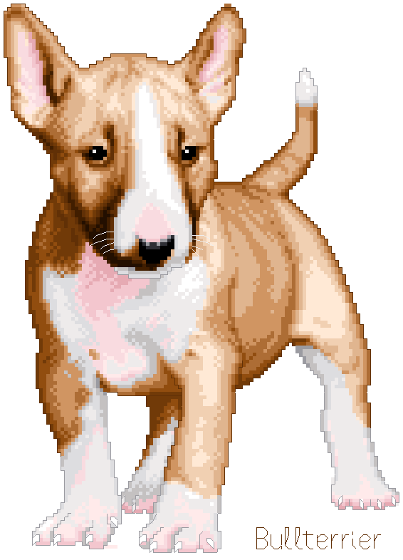 Bullterrier (cachorro)