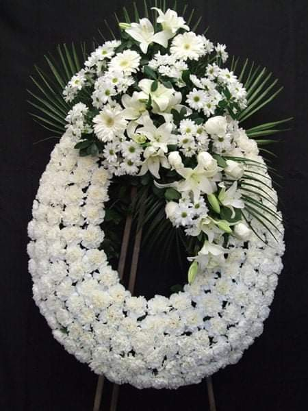 AMERICANA PREMIUM - Rosas Blancas Ecuatorianas