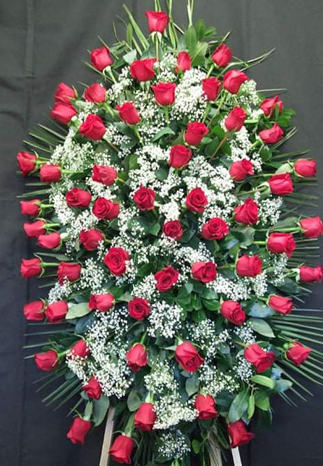 AMOR INOLVIDABLE -Rosas rojas ecuatorianas + Base de ghisophillas