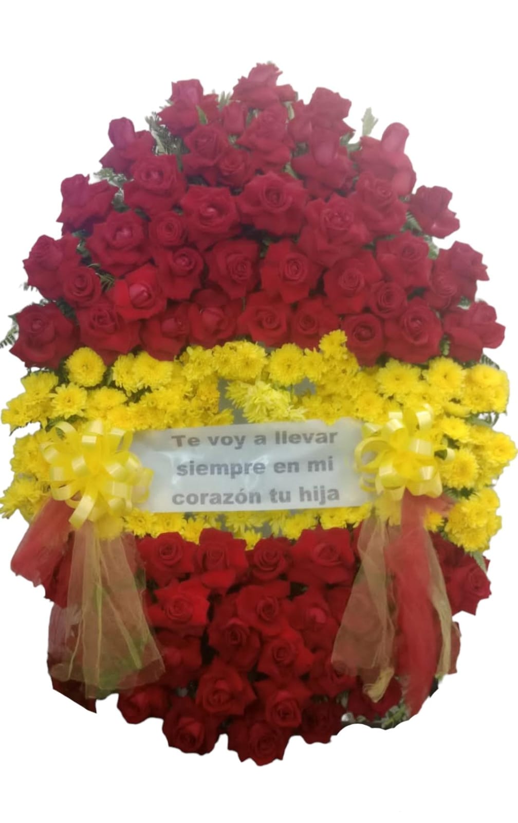  Corona de País a elección