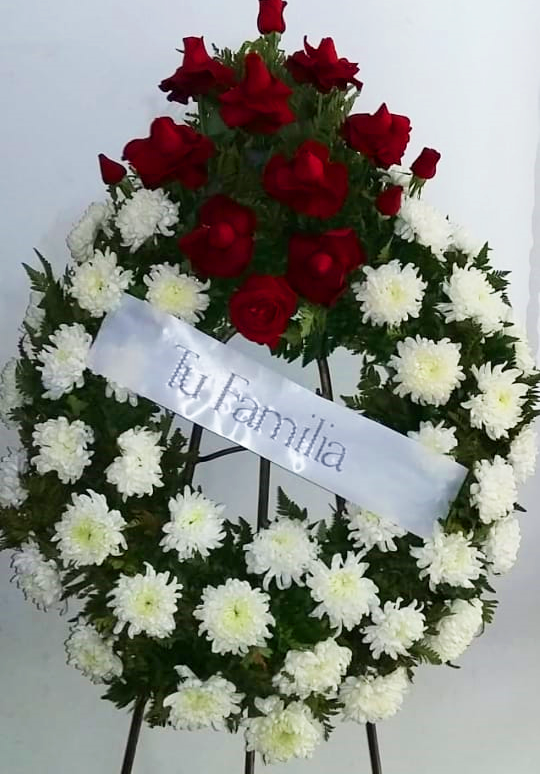 Americana - Crisantemos + Rosas