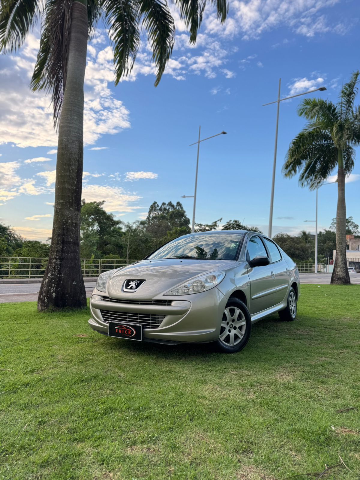 PEUGEOT 207 PASSION 1.4 2011/2012 - PRATA