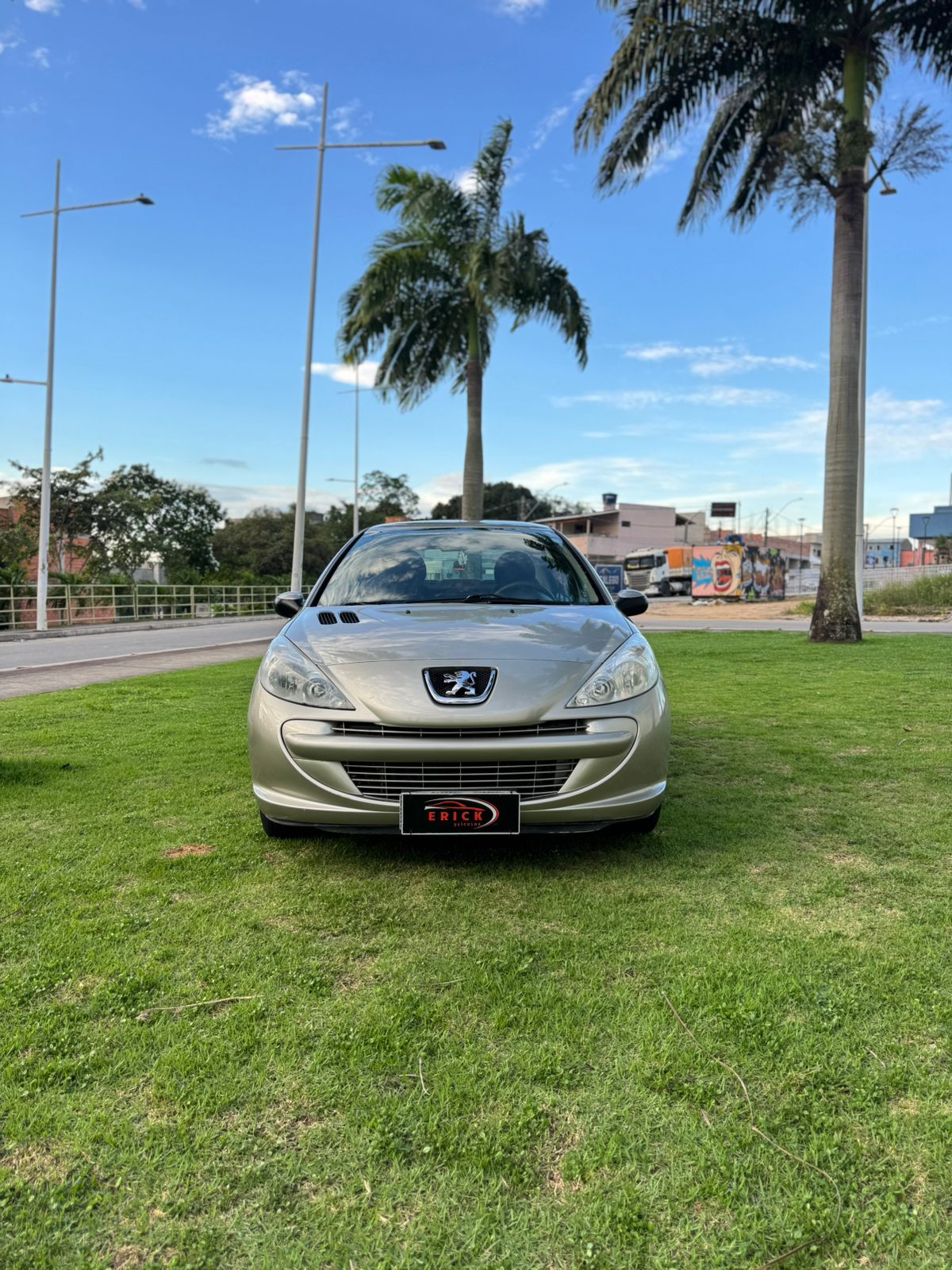 PEUGEOT 207 PASSION 1.4 2011/2012 - PRATA