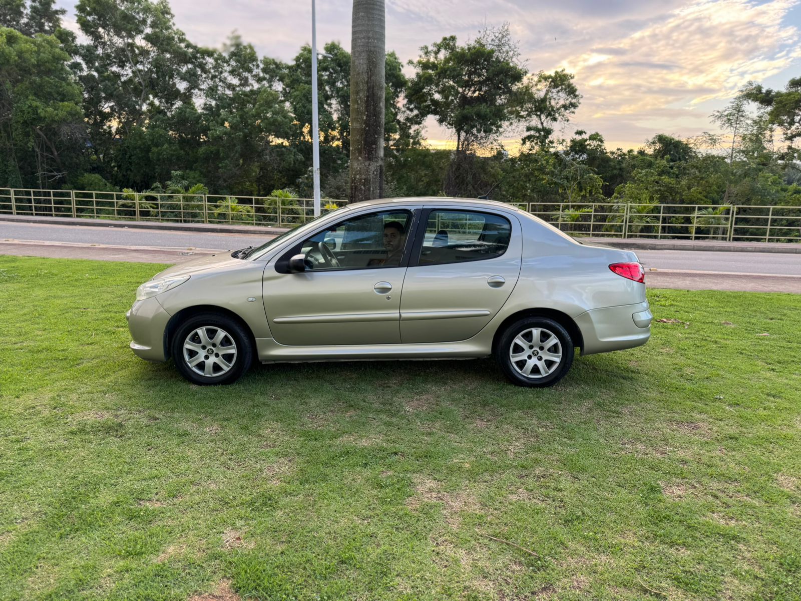 PEUGEOT 207 PASSION 1.4 2011/2012 - PRATA