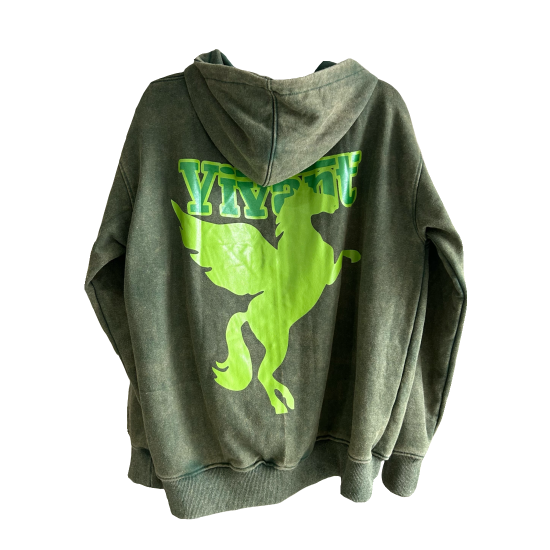 Racer Horse Hoodie