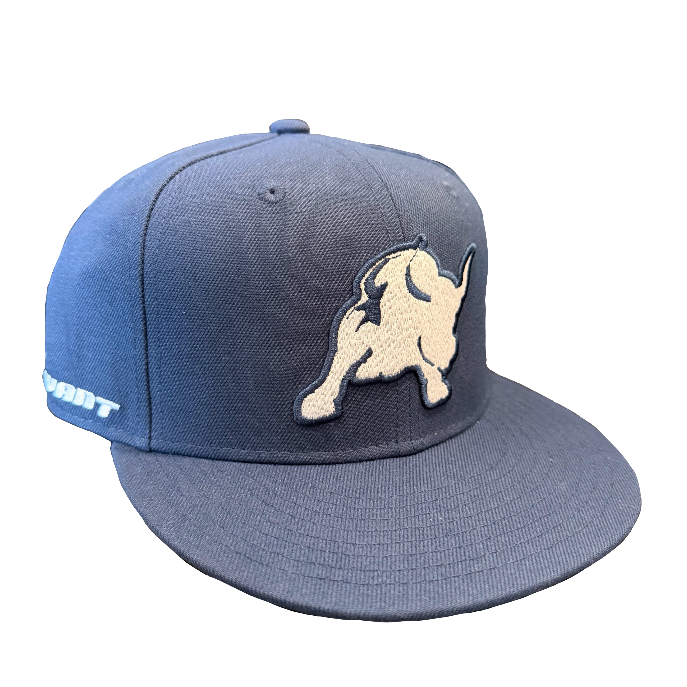 Navy Bull Snapback 