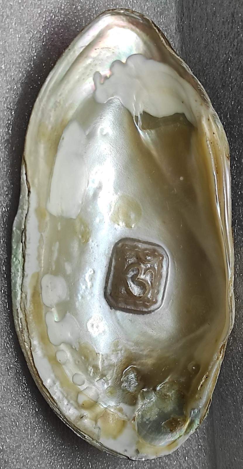 Cultured Pearl with Engraved Om Symbol 11mm White – Nucleus Implanted