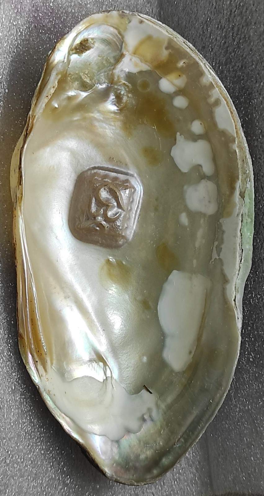Cultured Pearl with Engraved Om Symbol 11mm White – Nucleus Implanted