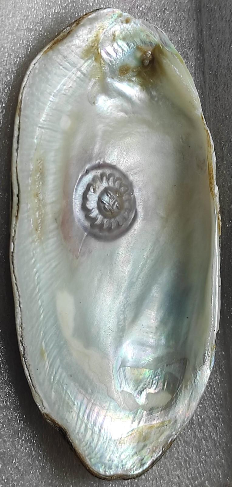  Cultured Pearl with Radiant Sun Design 11mm White – Nucleus Crafted