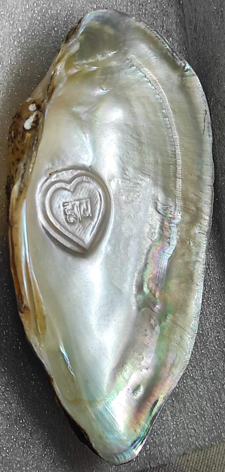  Cultured Pearl 10mm White, Heart-Shaped (Side-Angle) – Designer Nucleus Piece