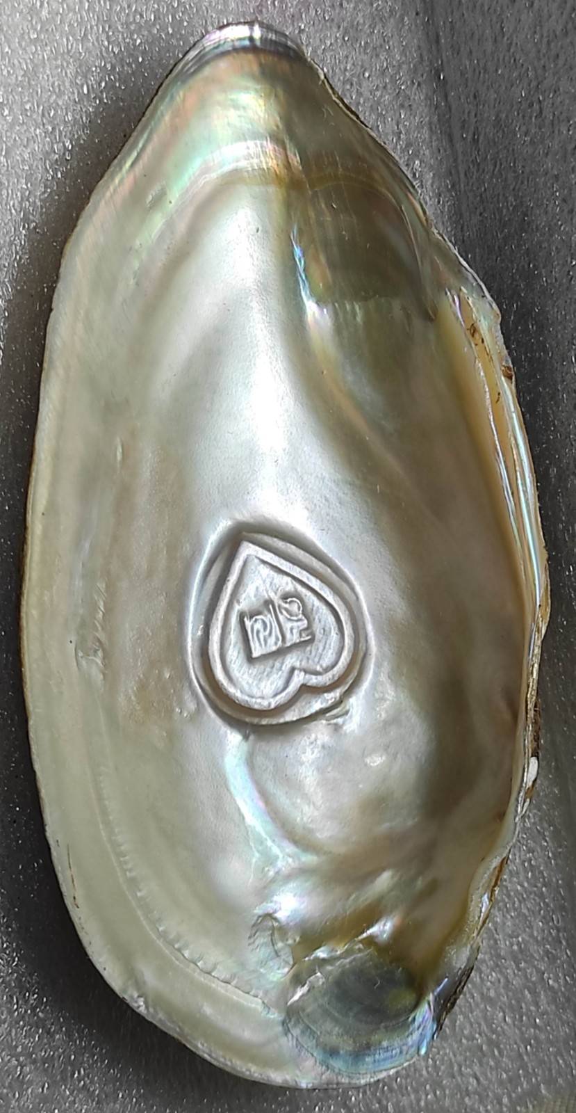  Cultured Pearl 10mm White, Heart-Shaped (Side-Angle) – Designer Nucleus Piece