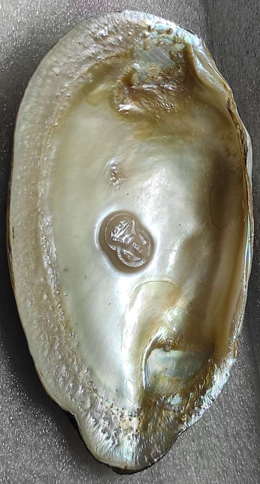 Cultured Pearl Artistic Divine Face – 11mm Nucleus-Grown, Spiritual